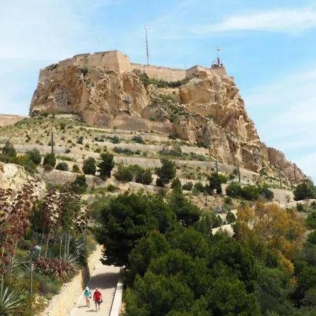 Cactus Alicante