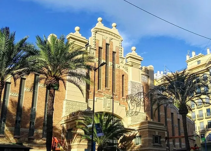 Daire Cactus Alicante